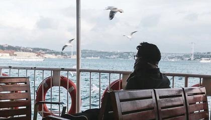 伟德Bevictor登录入口