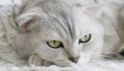 伟德Bevictor登录入口